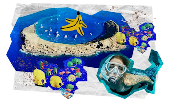 11 Tappe Viaggio MOBILE Hawaii