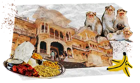 04 Tappe Viaggio DESKTOP India