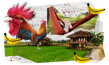 15 Tappe Viaggio MOBILE Laos Cambogia