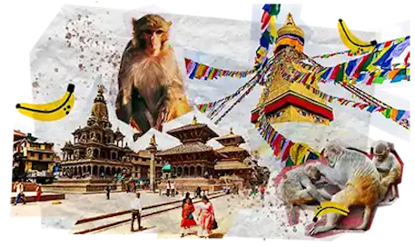 03 Tappe Viaggio DESKTOP Annapurna