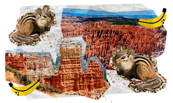 07 Tappe Viaggio MOBILE USA Grandi Parchi
