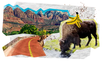 08 Tappe Viaggio MOBILE USA Grandi Parchi