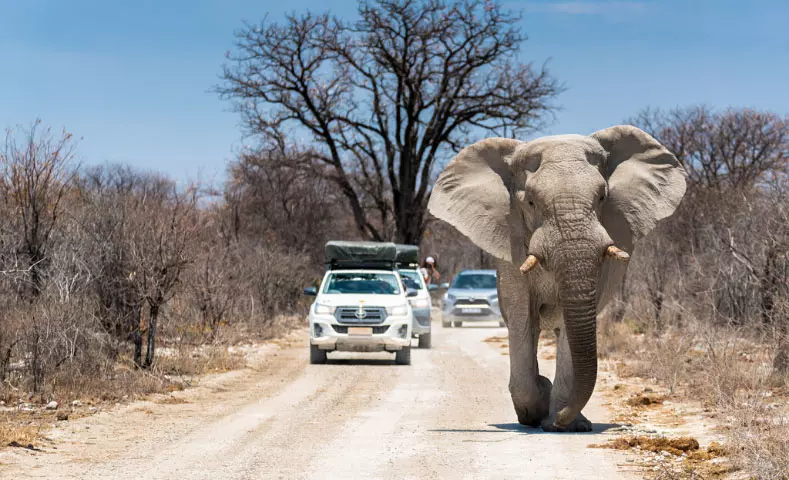 AnyConv.com__namibia_slider_dettaglio_m_1.webp