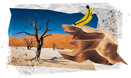11 Tappe Viaggio DESKTOP Namibia