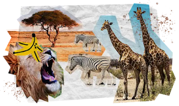 04 Tappe Viaggio MOBILE Namibia