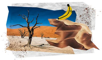 11 Tappe Viaggio MOBILE Namibia